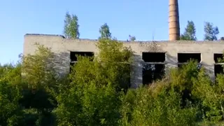 В Брянской блогосфере  снова рассказали о деградации промышленности региона