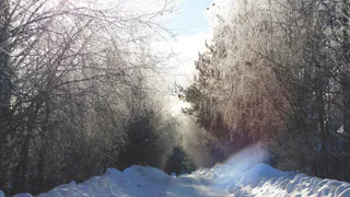 "Вся зима будет аномальная". Синоптики раскрыли, к чему нужно готовиться россиянам