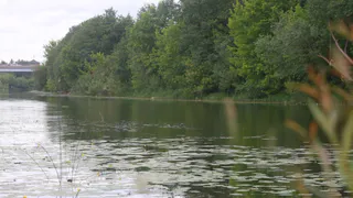 Обнаружили утром: со дна Сегденского озера подняли  труп 42-летнего рязанца