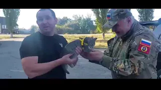 Матери погибшего на СВО жителя Коми привезут котенка с передовой