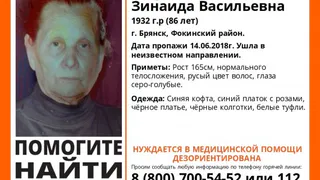 В Брянске пропала 86-летняя Зинаида Кирейченкова