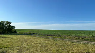 Рязанский крупнорогатый скот впервые отправлен на экспорт