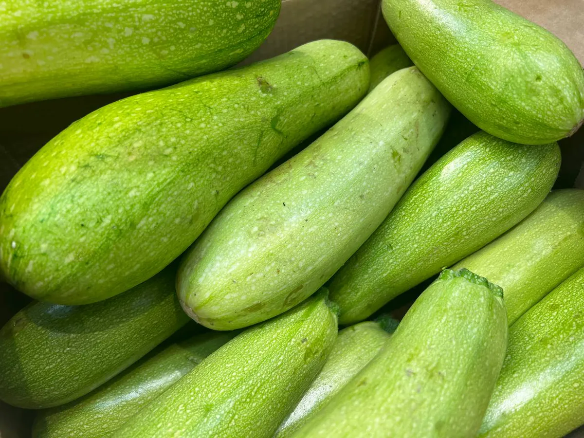 3 секрета хорошего урожая кабачков: проверено ушлыми дачниками