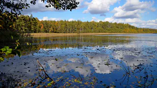 В Рязанском районе озеро Сегденское очистят к ноябрю 2022 за 1,4 млн рублей