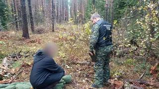 Лес под Киржачом стал могилой для москвички, убитой мужем