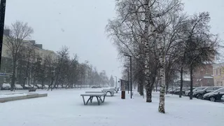 Безумно можно быть снежным: каким будет февраль 2023 года