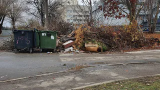 Прокуратура возбудила дело о невывозе мусора из Владимира