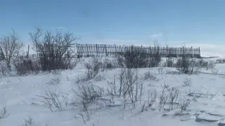 «Зимой произойдет то, чего не было с 1772 года». Синоптики дали тревожный прогноз