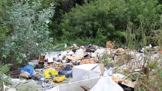 Новый тендер на ликвидацию несанкционированной свалки в Рязани: важный шаг к экологической безопасности 