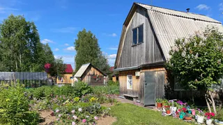 Лишатся земли: всем, у кого участок в собственности - новое жесткое правило с 1 сентября