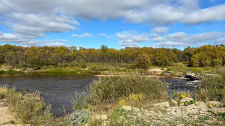 Коми запускает комплекс мер по охране рек