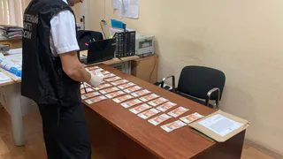 Москвичка задержана за дачу взятки сотруднику владимирской колонии