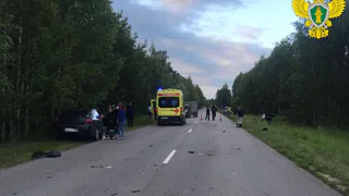 Под Пензой произошла трагедия: погиб ребенок