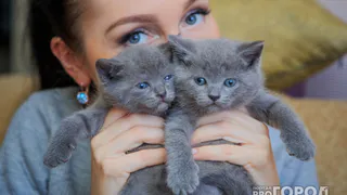 Гороскоп на 10 мая: представителей этого знака ждут сюрпризы