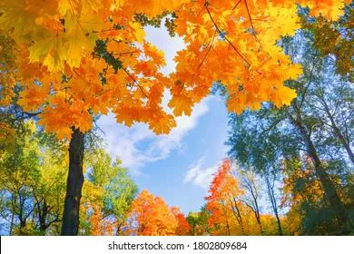 Приметы и запреты на 12 сентября: следите за солью на столе