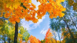 Погода недели: лето уходит, зато тепло приходит