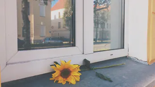 В Коми подросток выпал из окна третьего этажа