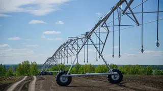 «Мираторг» инвестировал 111 млн рублей в инфраструктуру селекционно-семеноводческих проектов