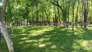 В Пензе стадион «Труд» сохранят спортивным объектом, но реконструкцию отложат