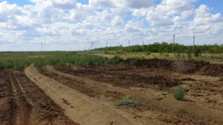 Московская фирма наказана за вывоз плодородной почвы из Брасовского и Комаричского районов