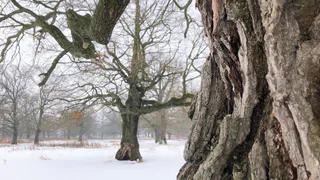В Рязанской области сократился уровень безработицы