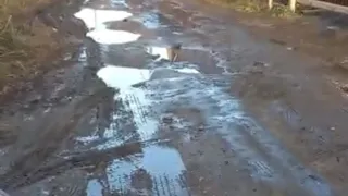 Жители рязанского коттеджного поселка "Ходынинские дворики-1" жалуются на отсутствие дорог