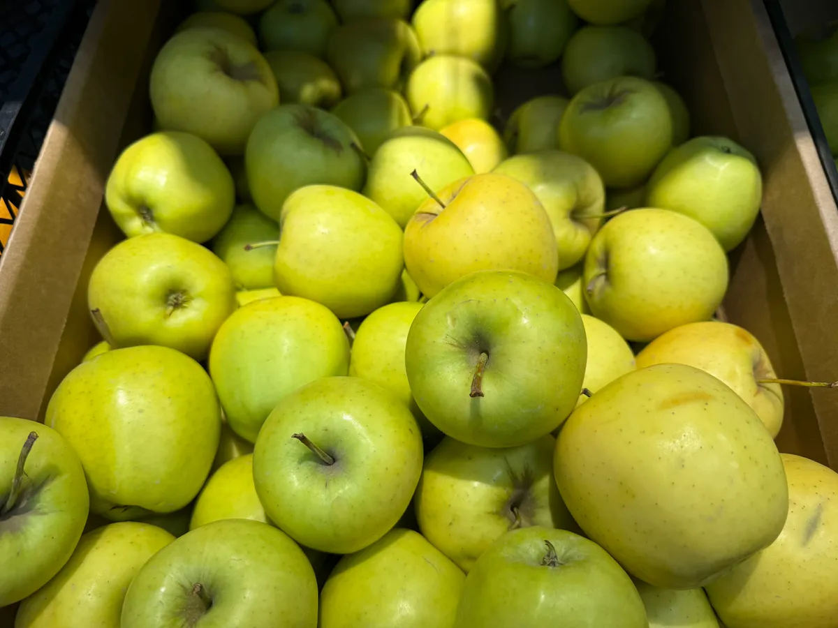 В апреле сыплем горсть под яблоней — летом собираем обильнейший урожай: проверенный способ