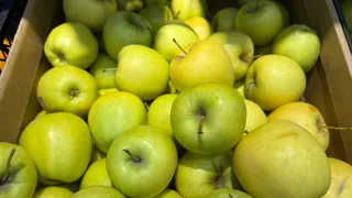 700 граммов на 10 литров — и вы забудете о монилиозе: вот этим обработайте яблони весной — больше никаких гнилых плодов