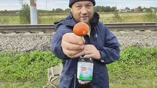 Рязанец съел два мухомора и испытал радость