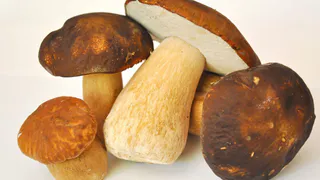 Рецепт на вес золота: маринованные грибы так вкусны, что за зиму съедается 100 банок! Нужен этот секретный ингредиент 