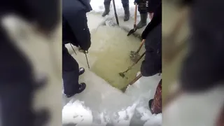 В деревне Соха рыбаки спасли задыхающуюся рыбу