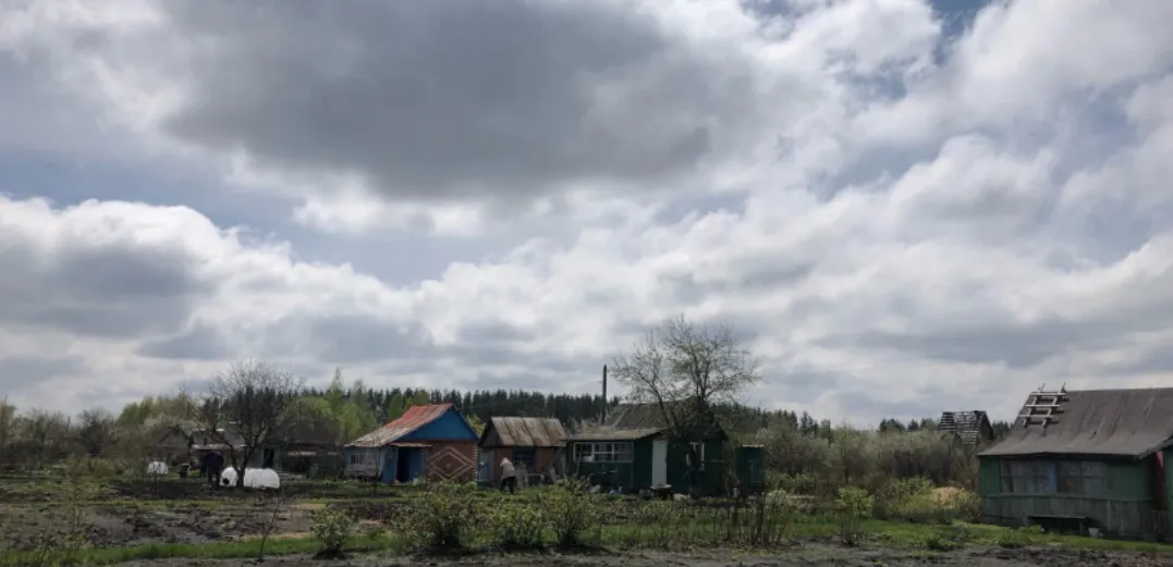 Это популярное растение у дачников теперь запретили выращивать: новое правило для россиян