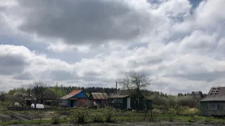 Это популярное растение у дачников теперь запретили выращивать: новое правило для россиян