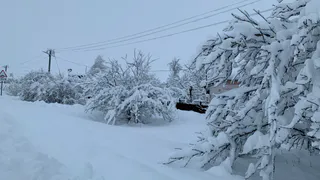 «Проехал для галочки»: рязанцы поддержали жалобу на уборку двора на Михайловском шоссе