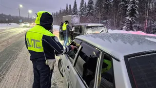 «Не сделаешь – лишат прав на 2 года»: ГИБДД предъявляет новое требование к водителям