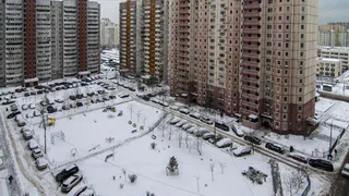 В 2023 году в Рязани оштрафовали за парковку на газоне 5128 человек на 5,8 млн рублей