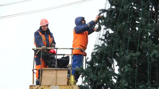 Стало известно, когда в Рязани украсят 33 новогодние ели