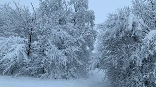 Жителей Рязанской области предупредили об ухудшении погодных условий