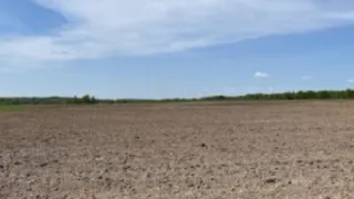 Во Владимирской области вернули в эксплуатацию 22,6 гектаров сельскохозяйственных земель