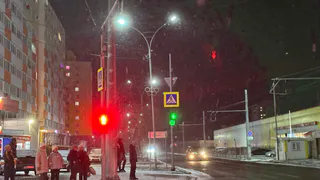 Из-за праздника рязанцам посоветовали не выносить мусор и не ходить в гости 18 декабря