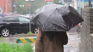 На линейку с зонтиком: в Рязанской области возможны сильные ливни