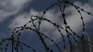 Сотрудник брянской колонии за взятку пронёс 16 мобильных телефонов