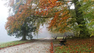 10 сентября в Рязанской области ожидается до +17 градусов