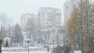 Желтый уровень опасности: синоптики предупреждают о сложных погодных условиях в Челябинской области