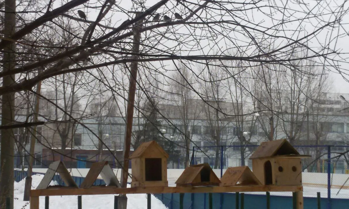 Нижнекамка прислала фото станции Доброты для птиц