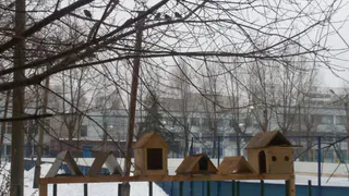 Нижнекамка прислала фото станции Доброты для птиц