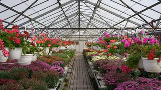 Жителям региона грозят штрафы за незарегистрированные теплицы с фундаментом