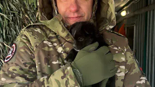 Наши земляки из отряда «БАРС.Крым» спасли щенков в зоне СВО