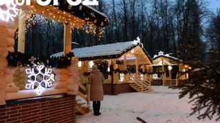 Новогодняя деревня, главная ёлка и свинка-копилка: рязанцам назвали места, где можно загадать желание в Новый год