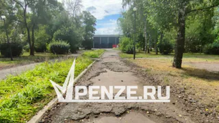 «Получается, что мы, жители Шуиста, второсортные?»: пензенцы просят спасти сквер «Дружбы»